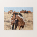 Search for mustang puzzles Horses