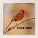 Search for cardinal puzzles Birds