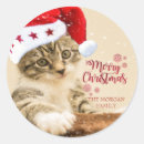 Search for santa cat stickers Adorable