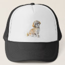 Search for shih hats Animal