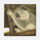 Search for brisbane magnets Tourism