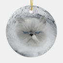 Search for hurricane christmas tree decorations Funny