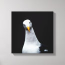 Search for funny seagull art Animal