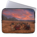Search for camel the electronics Giza