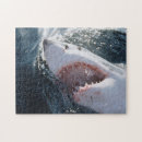 Search for great white shark puzzles Animal