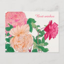 Search for pale postcards Vintage
