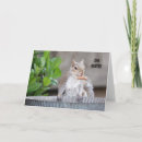 Search for quirky note cards Funny