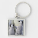 Search for penguin photo key rings Animal