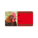 Search for marans Chicken