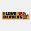 Search for beavers bumper stickers Humour