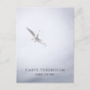 Search for funny seagull postcards French fries