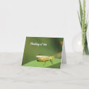 Search for grasshopper cards Insect