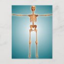 Search for vera postcards Costae verae