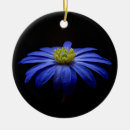 Search for daisy christmas tree decorations Flower