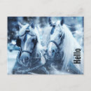 Search for old horse pictures postcards Equine