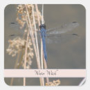 Search for dragonfly wings stickers Blue