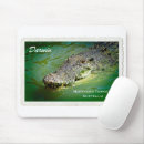 Search for darwin electronics Australia