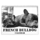Search for french calendars Bulldog