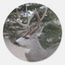 Search for deer head stickers Hunting