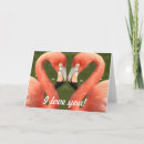 Search for flamingo cards Pair