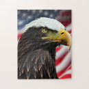 Search for american bald eagle puzzles Usa