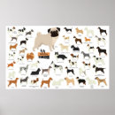 Search for dog breed posters Canine