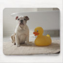 Search for plastic mouse mats White