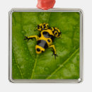 Search for danger christmas tree decorations Vertical