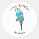 Search for budgerigar stickers Parakeet