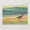 Search for anna maria island postcards Tropical