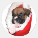 Search for wait for santa stickers Dog