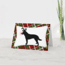 Search for australian cattle dog christmas cards Acd