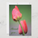 Search for raindrop cards Pink