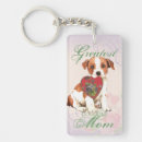Search for curator accessories Dog