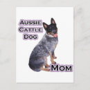 Search for acd cards invites Cattle