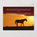 Search for orange horse postcards Sunset