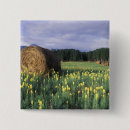 Search for rural badges North america