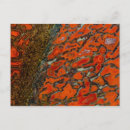 Search for black dinosaur postcards Gemstone