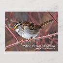 Search for throat postcards Wildlife