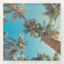 Search for tree coasters Outdoors