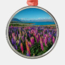 Search for valley christmas tree decorations Landscape