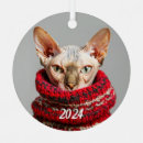 Search for sphynx cat gifts Kitty