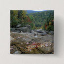 Search for fall foliage badges North america