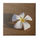 Search for maui tiles Nature