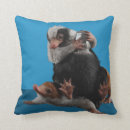 Search for fantastic cushions Wizarding wold