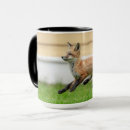 Search for hudson valley mugs Nature