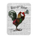 Search for rooster magnets Animals