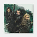 Search for fili magnets Kili