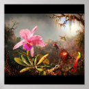 Search for martin johnson heade posters Flower