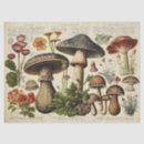 Search for tissue paper Text